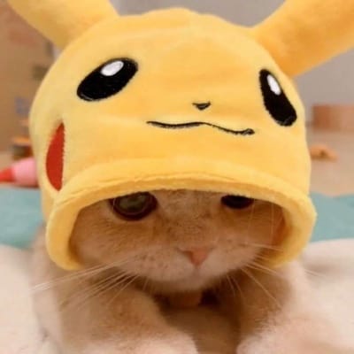 Bhaskar Rao avatar